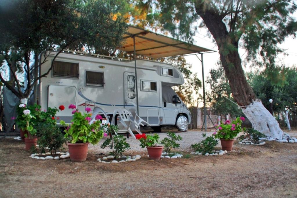 Creta Camping Guwes Zewnętrze zdjęcie