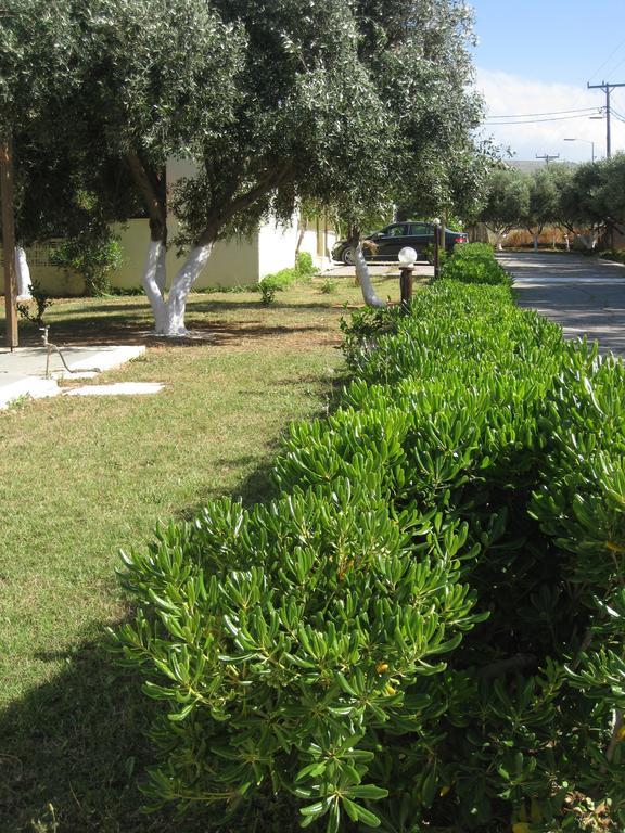 Creta Camping Guwes Zewnętrze zdjęcie
